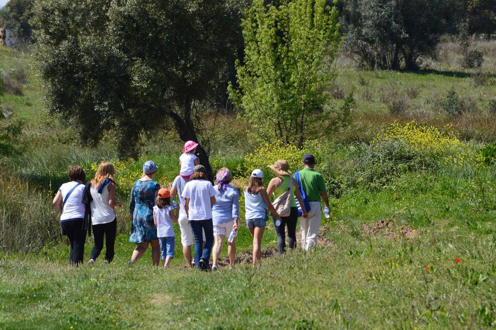 Monte Chalaca - Turismo Rural Ferreira Do Alentejo Ngoại thất bức ảnh
