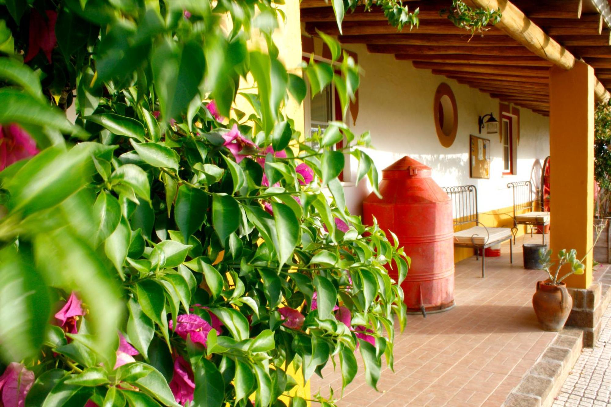 Monte Chalaca - Turismo Rural Ferreira Do Alentejo Ngoại thất bức ảnh